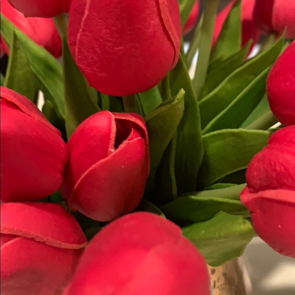 Meet your Posher, Andrea